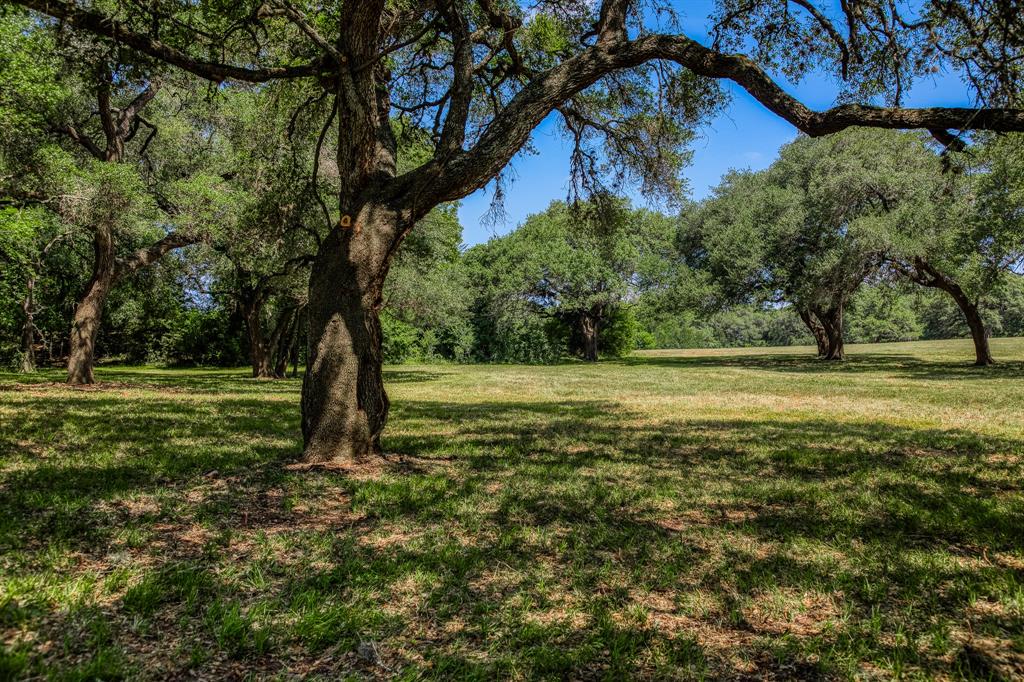 Tract 2 Artesian Pakr Ln, Brenham, Texas image 6