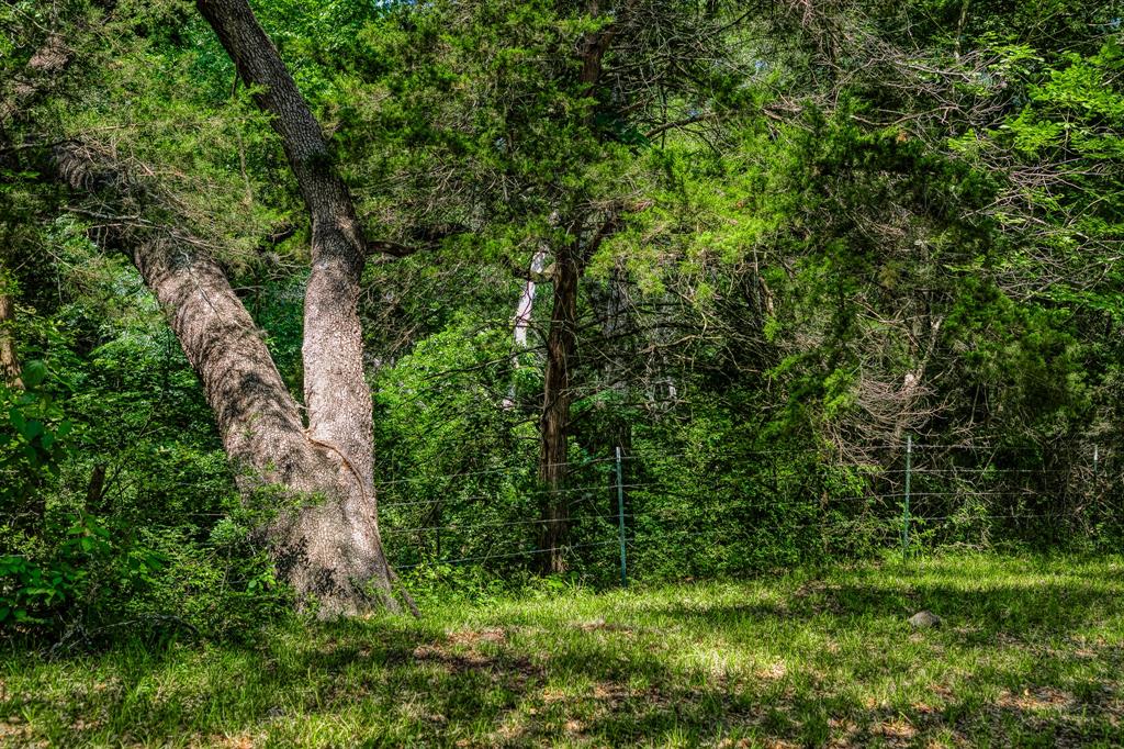 Tract 2 Artesian Pakr Ln, Brenham, Texas image 7