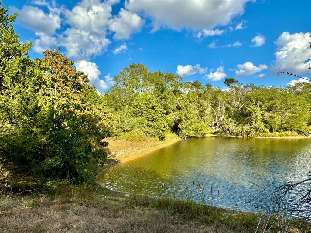 680 Skyview Road, Bellville, Texas image 11