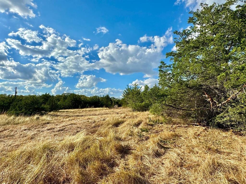 680 Skyview Road, Bellville, Texas image 6