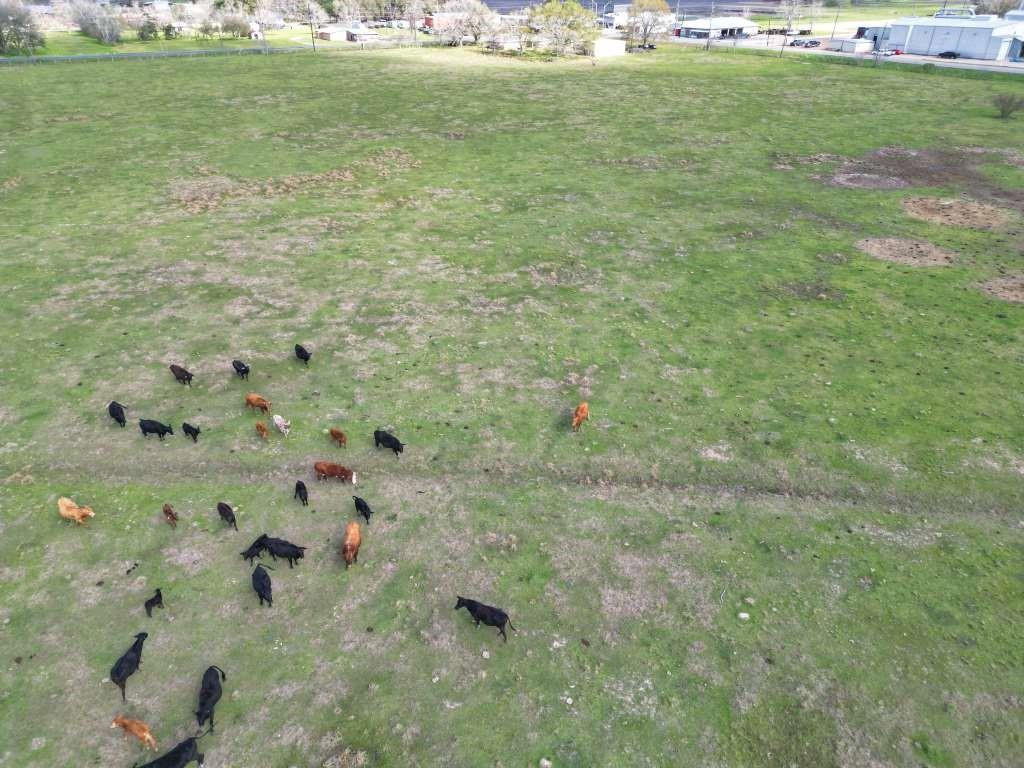 10310 Fm 361 Road, Needville, Texas image 28