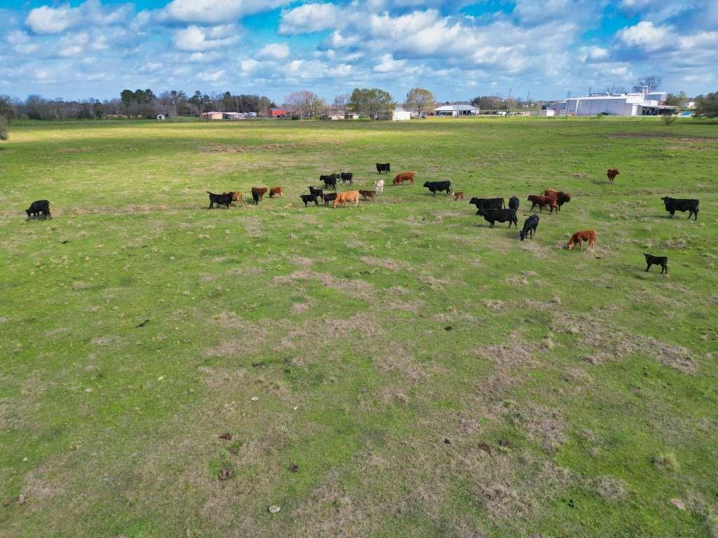 10310 Fm 361 Road, Needville, Texas image 27