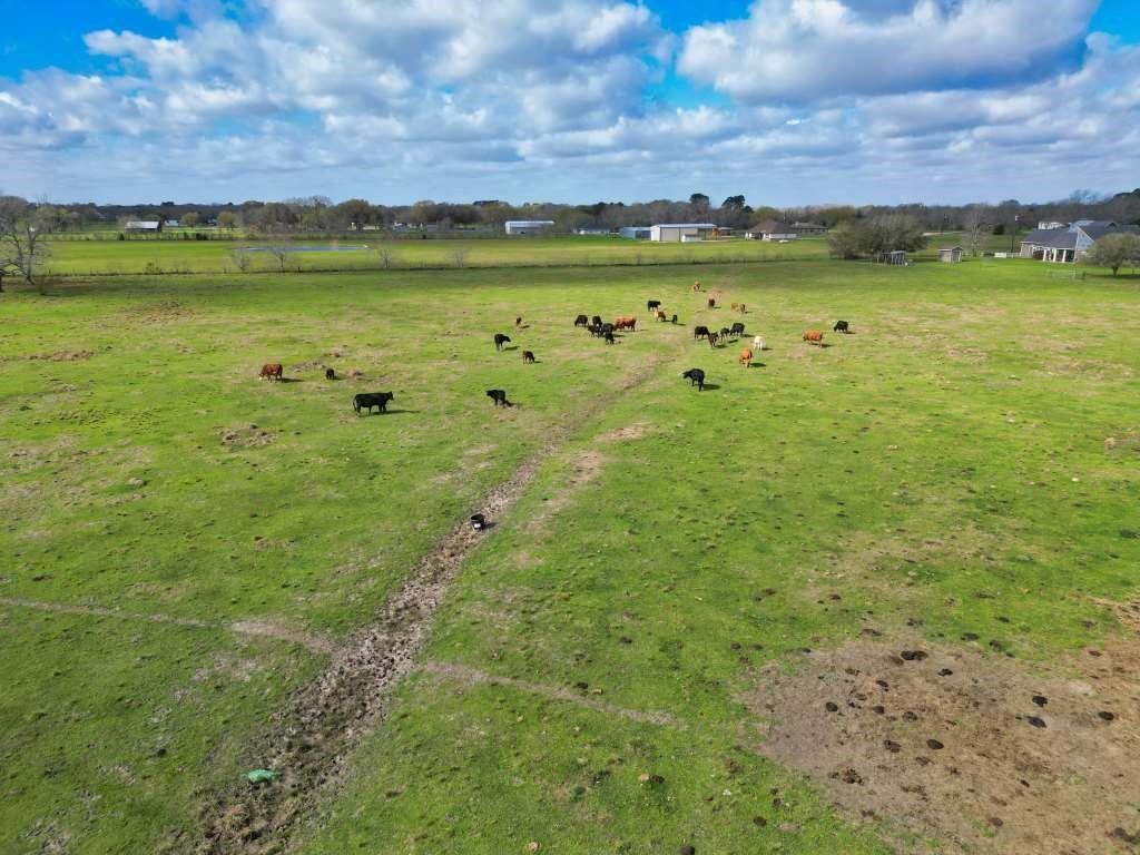 10310 Fm 361 Road, Needville, Texas image 26