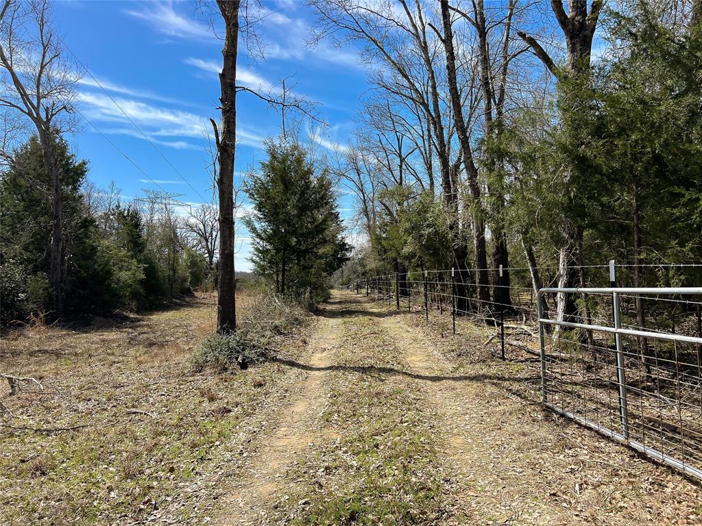 6979 County Road 321, Jewett, Texas image 2