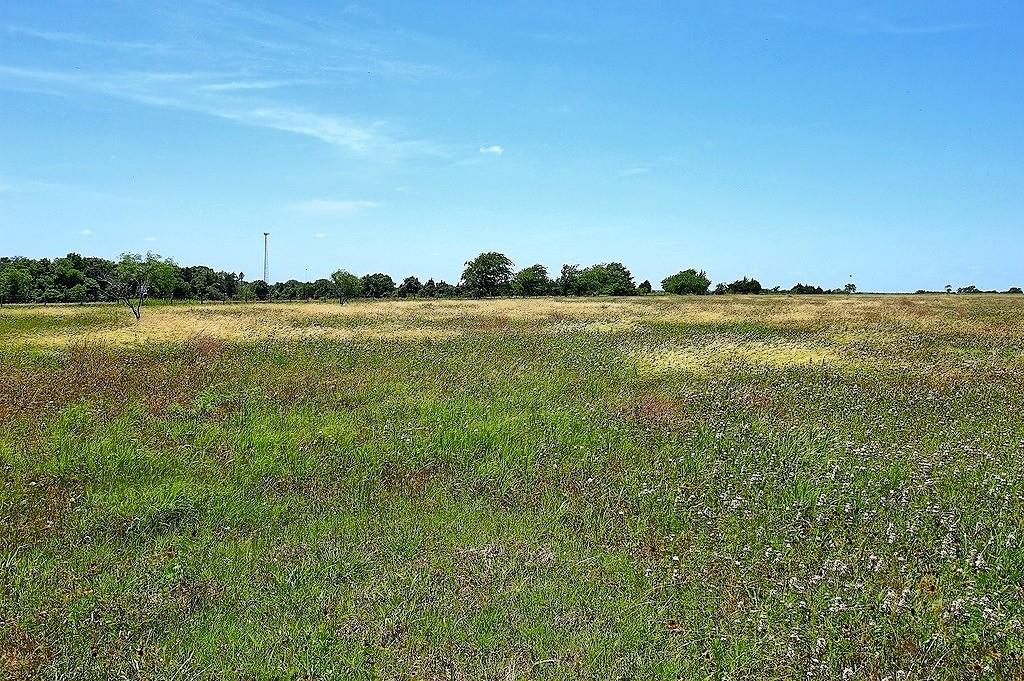 TBD Farm To Market 532, Weimar, Texas image 2