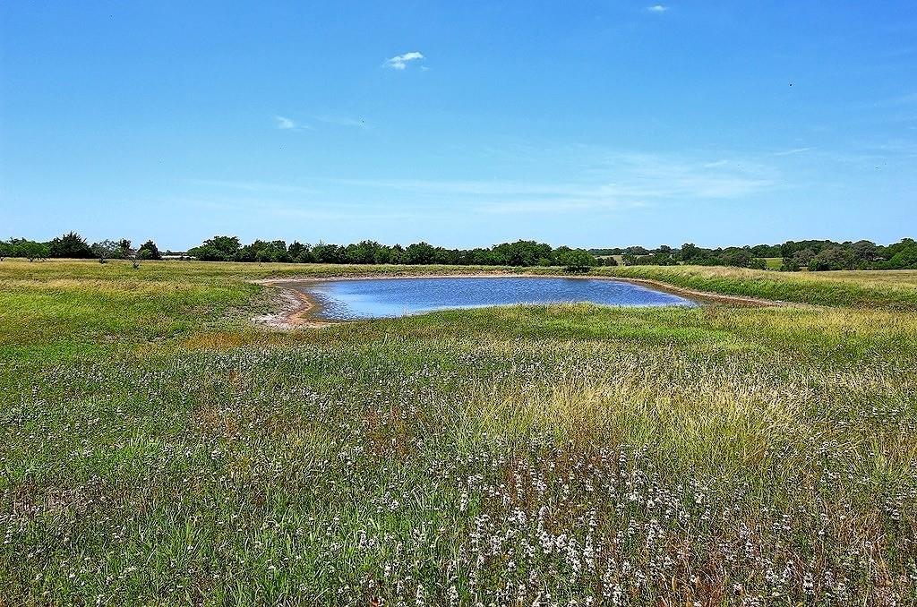 TBD Farm To Market 532, Weimar, Texas image 5