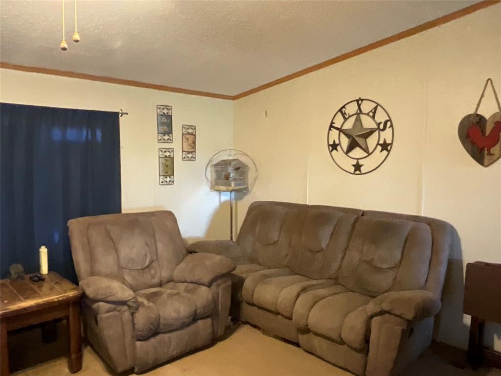 383 County Road 233, Hallettsville, Texas image 20