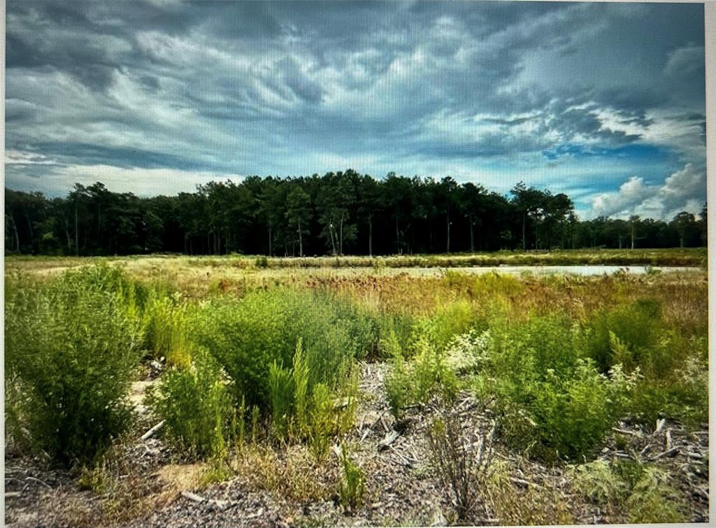 TBD 42 acres County Road 2184