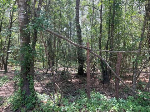 00 Mill Creek Drive N Plantersville TX 77363