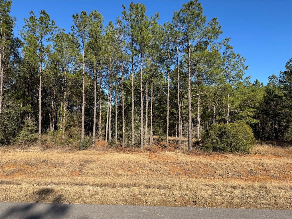 15744 Grey Hawk Lane, Willis, Texas image 9