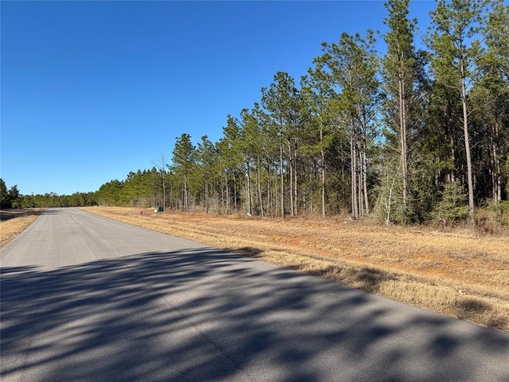 15744 Grey Hawk Lane, Willis, Texas image 8