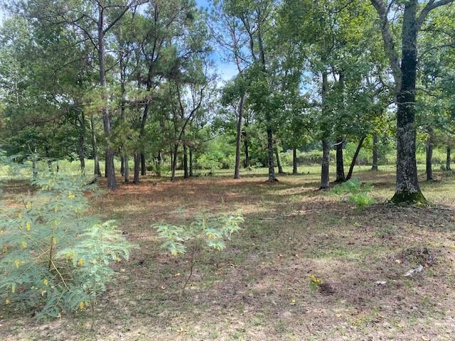 Firetower Road, Conroe, Texas image 14