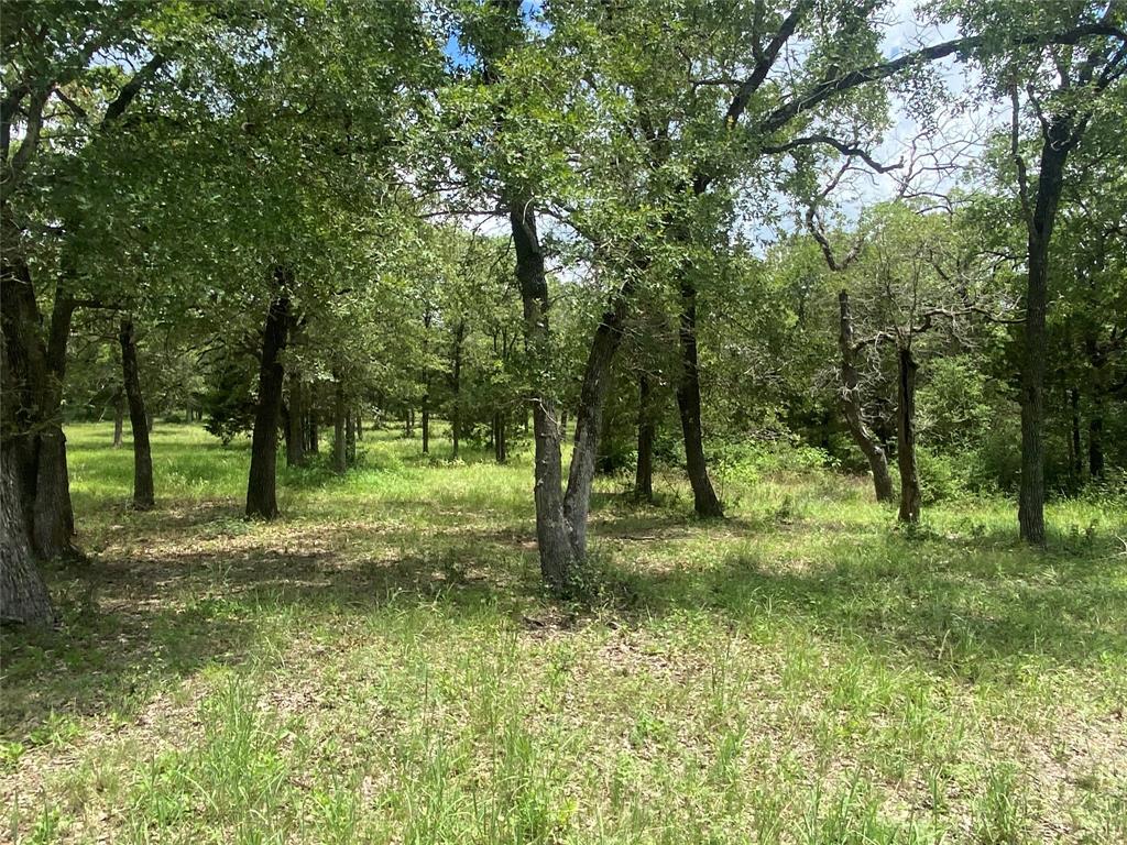 1333 A Old Sayers Rd Road, Elgin, Texas image 24