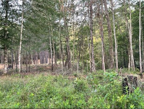 Photo of 5566 County Road 451, Kirbyville, TX 75956 (MLS # 95579264)