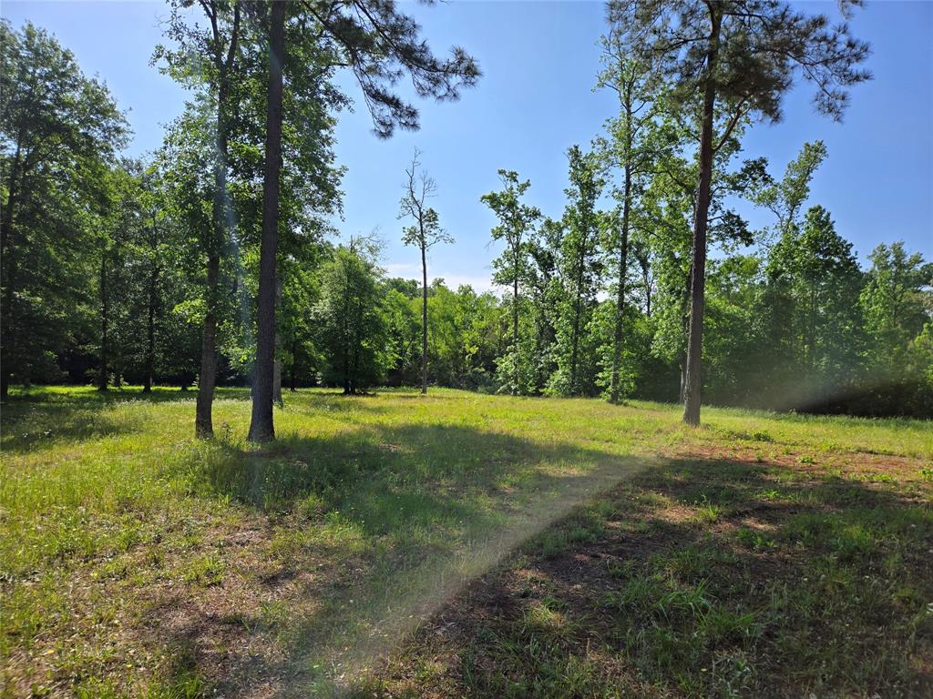 TBD (5) Noah Court, Huntsville, Texas image 5