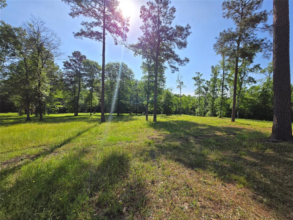TBD (5) Noah Court, Huntsville, Texas image 4