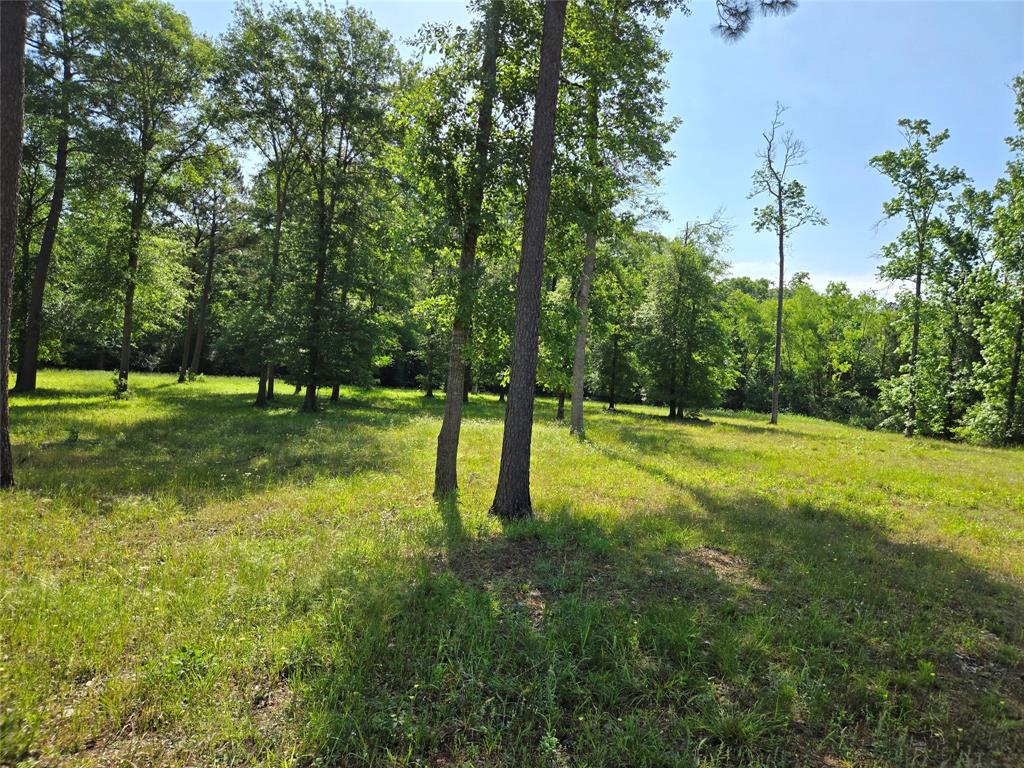 TBD (5) Noah Court, Huntsville, Texas image 9