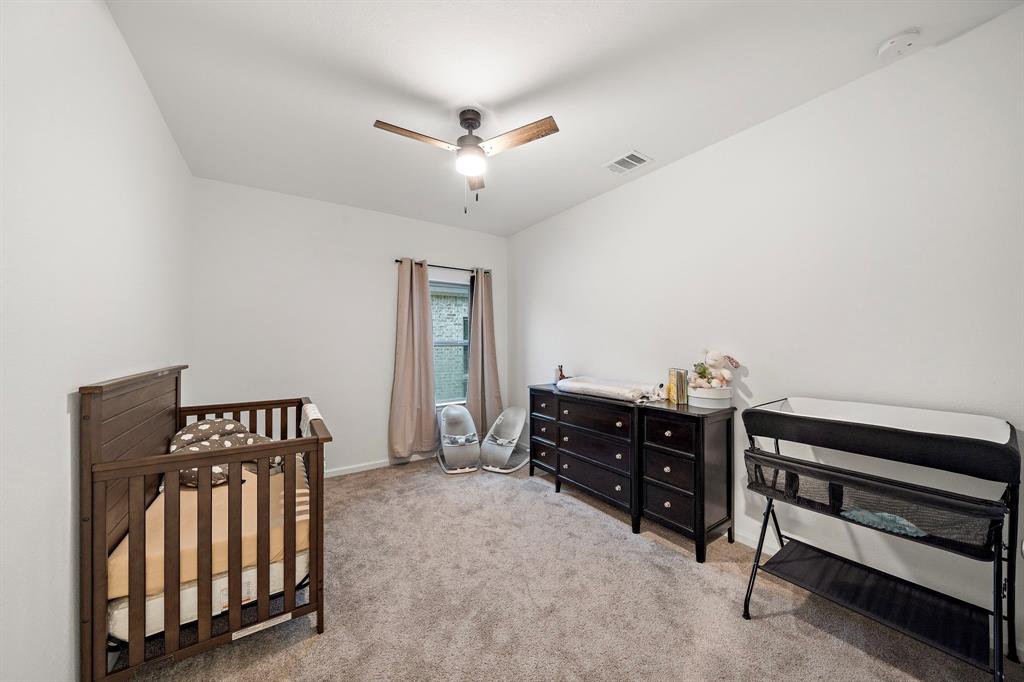 5203 Birch Shadow Drive, Fulshear, Texas image 27