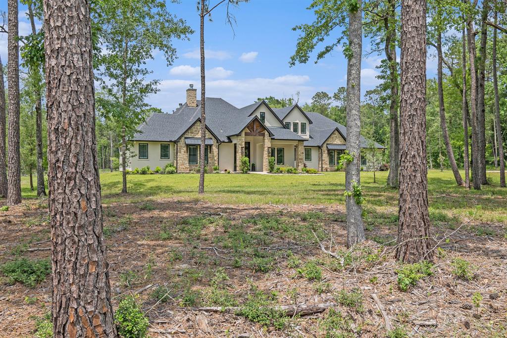 10102 Woodlane Boulevard, Magnolia, Texas image 43