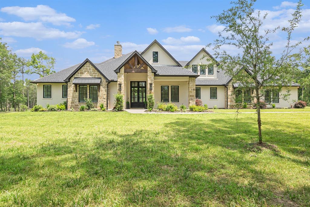 10102 Woodlane Boulevard, Magnolia, Texas image 1
