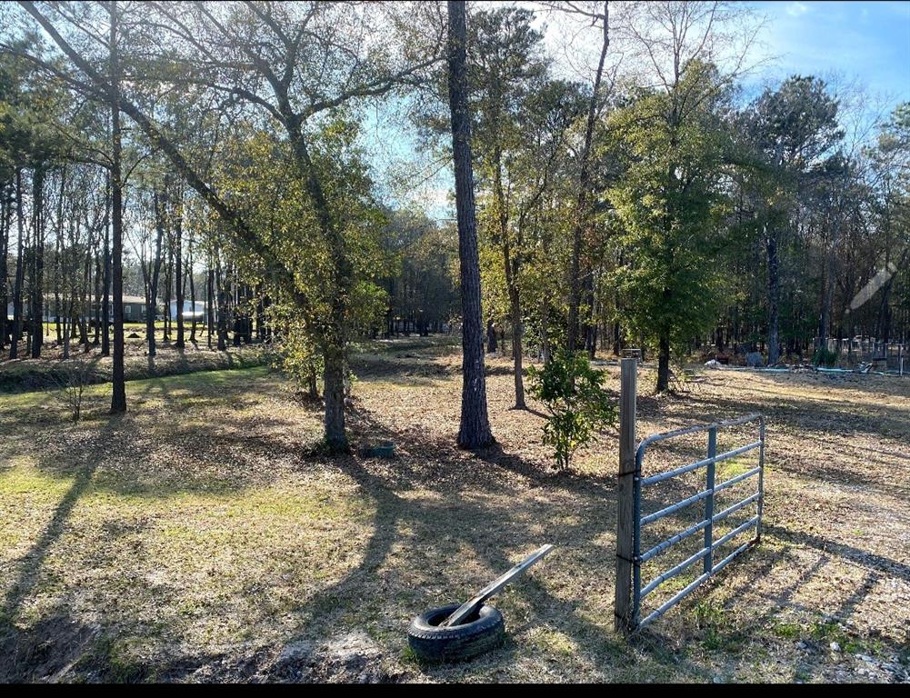 23859 Mydas Fly Lane