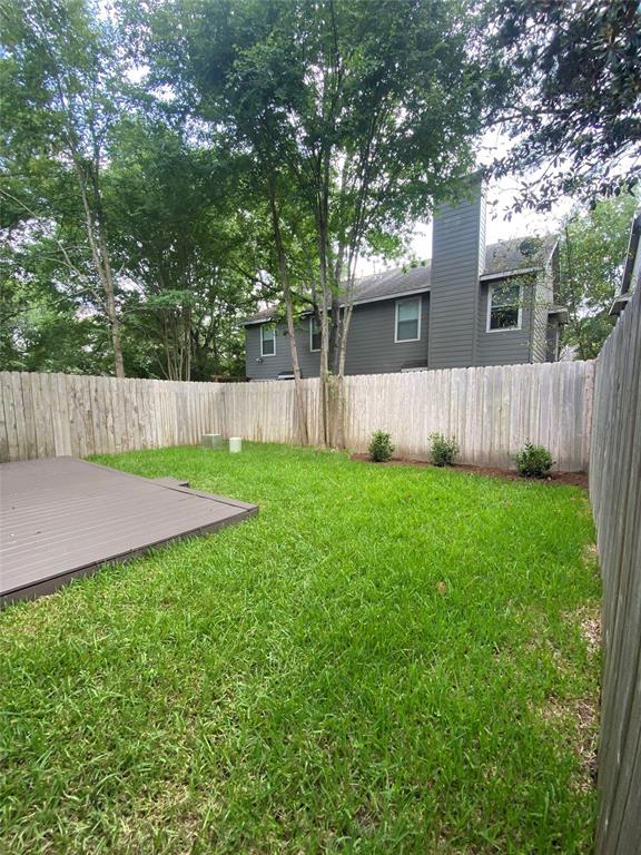 138 Anise Tree Place Pl, The Woodlands, Texas image 27