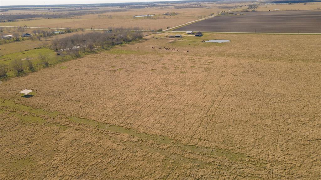 Fm 1462, Damon, Texas image 5