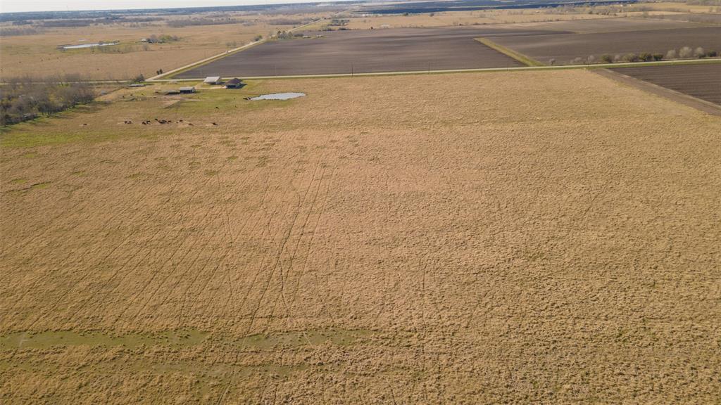 Fm 1462, Damon, Texas image 8