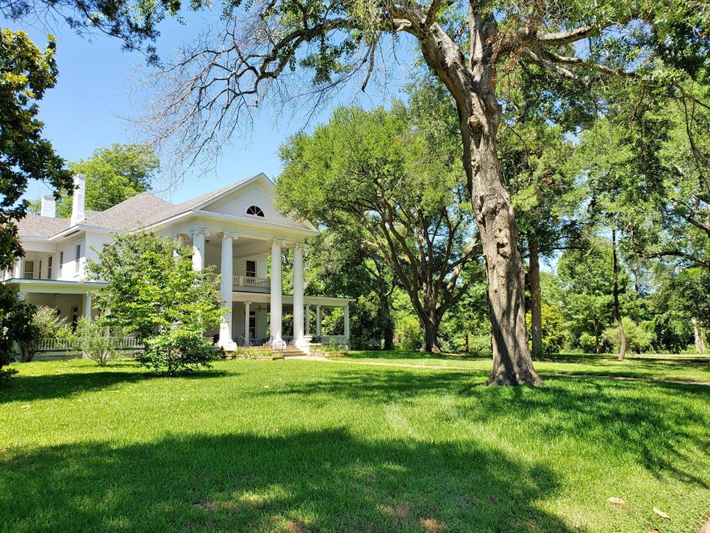 601 Hodges Street, Palestine, Texas image 6