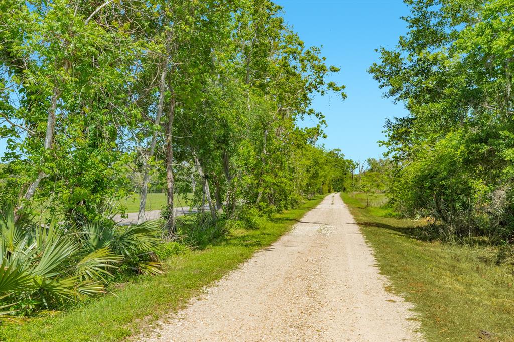 3142 County Road 309, Brazoria, Texas image 10