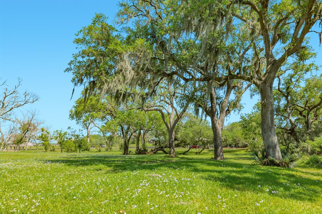 3142 County Road 309, Brazoria, Texas image 45