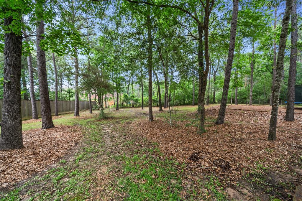 11289 Majestic Drive, Montgomery, Texas image 47