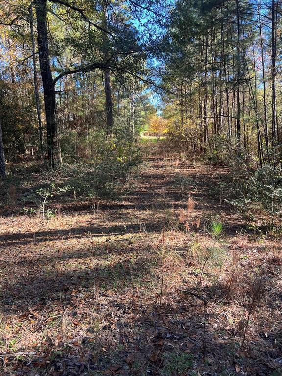 10-26-38 Rim Rock Rd Road, Huntsville, Texas image 6