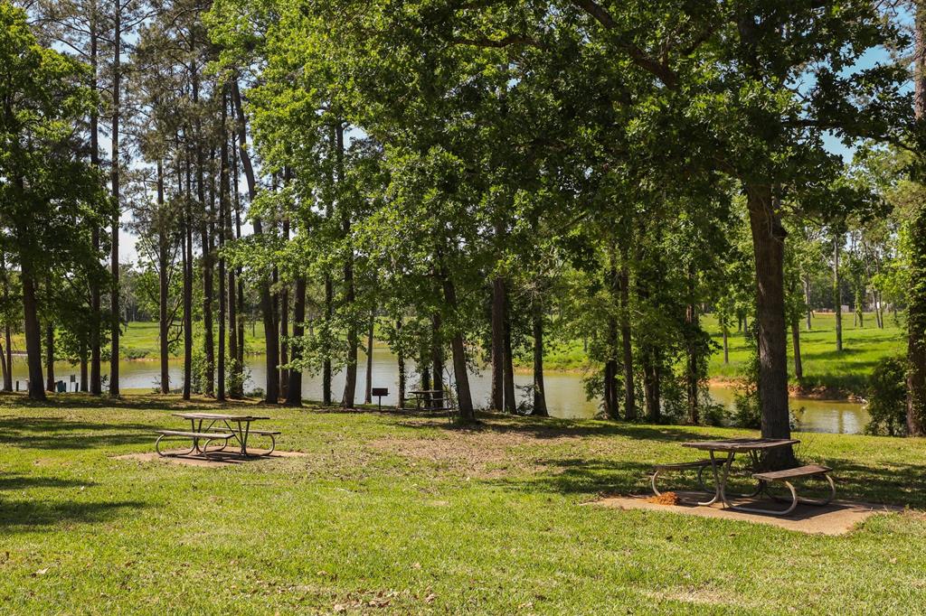 TBD Echo Lane, Livingston, Texas image 13