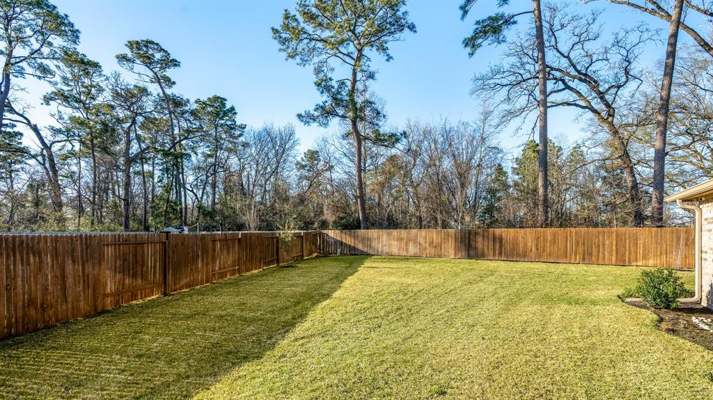 24630 Charlton Green Lane, Spring, Texas image 8