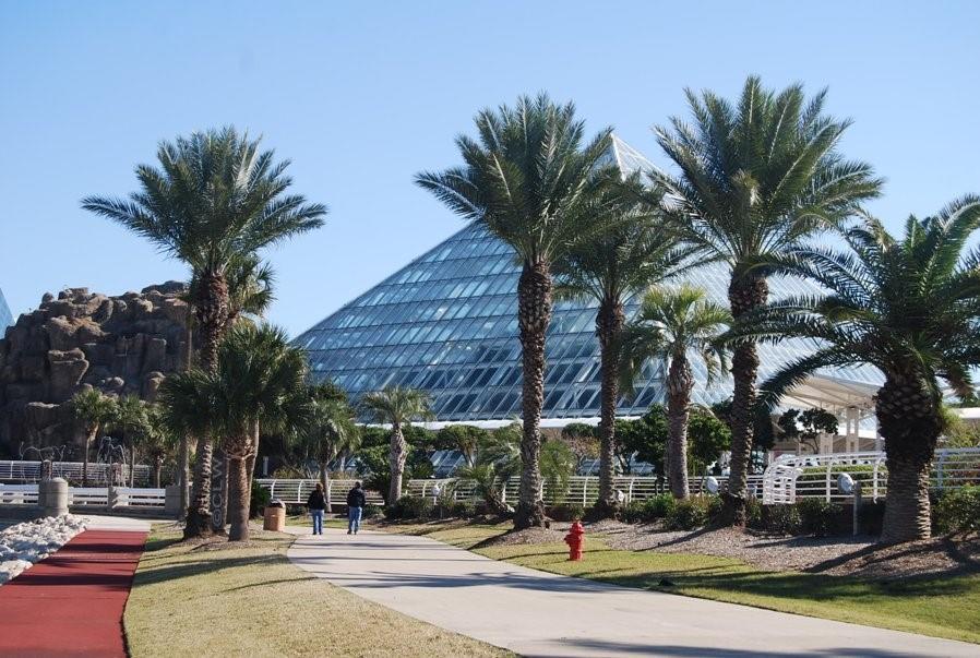 7000 Seawall Boulevard #411, Galveston, Texas image 29