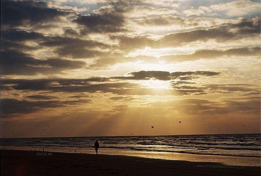 7000 Seawall Boulevard #411, Galveston, Texas image 28