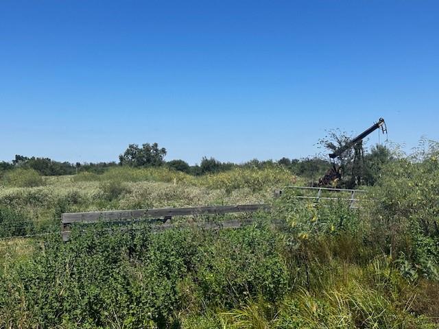 3399 Oil Field Road, Bellville, Texas image 6