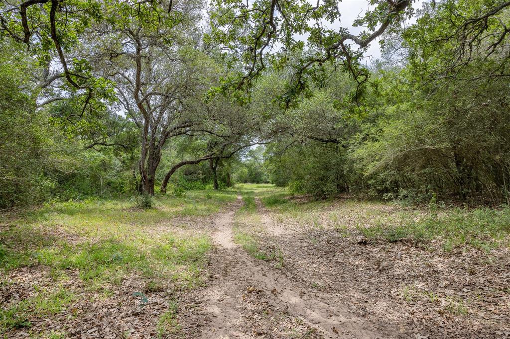 0000 Ih-10, Alleyton, Texas image 7