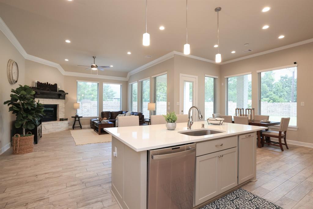 4562 Silver Moon Drive, Spring, Texas image 20