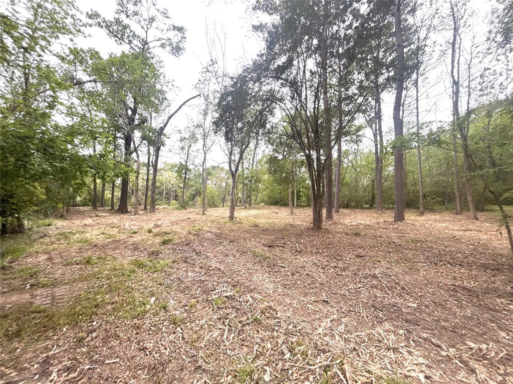00 Redbud, Conroe, Texas image 4