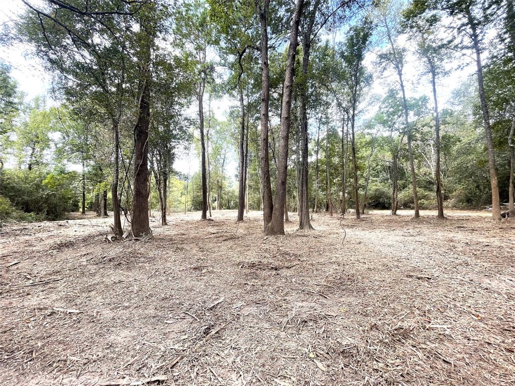 00 Redbud, Conroe, Texas image 5