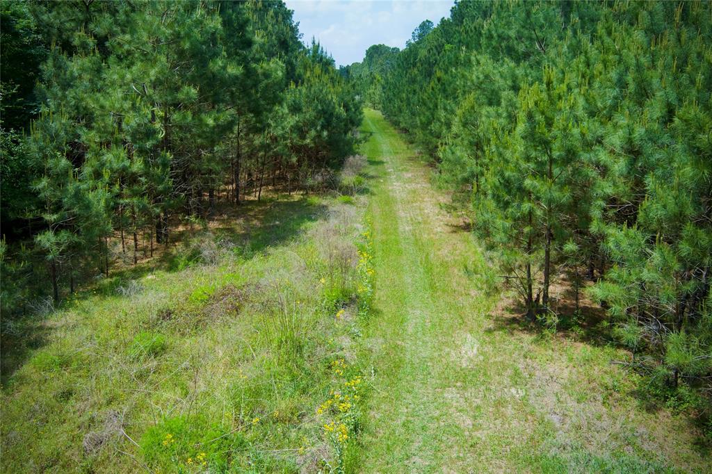 30000 Round Up Drive, Waller, Texas image 39