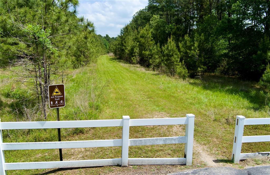 30000 Round Up Drive, Waller, Texas image 38