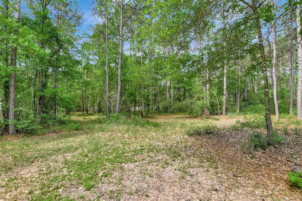 30000 Round Up Drive, Waller, Texas image 33