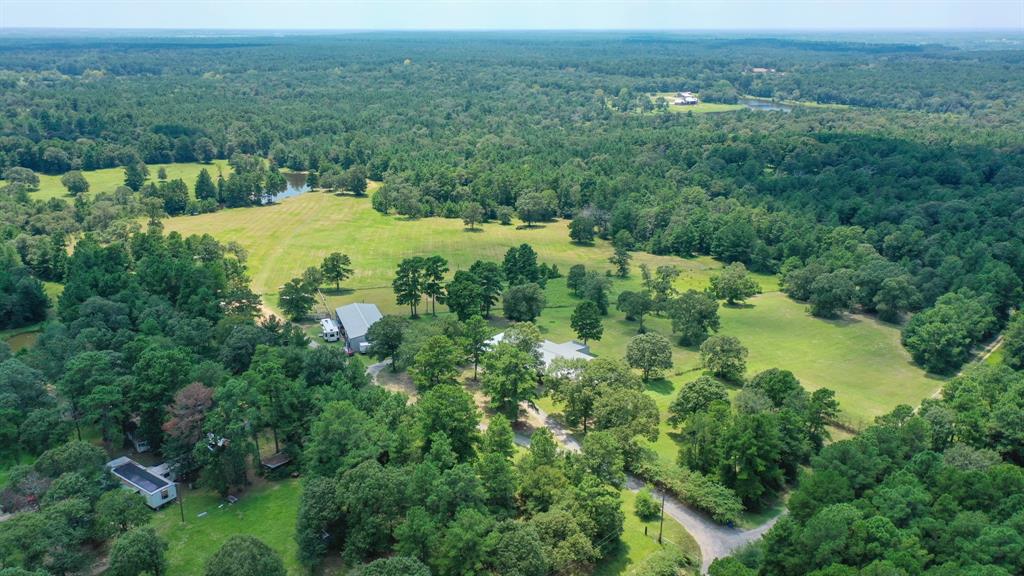 21.003 Acres Rockin L Lane, Navasota, Texas image 9