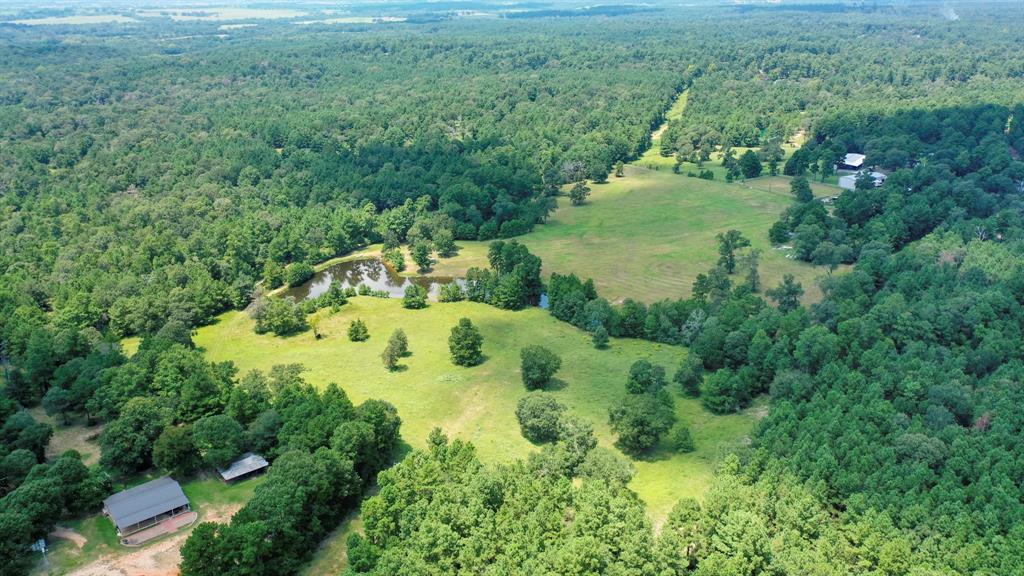 21.003 Acres Rockin L Lane, Navasota, Texas image 10