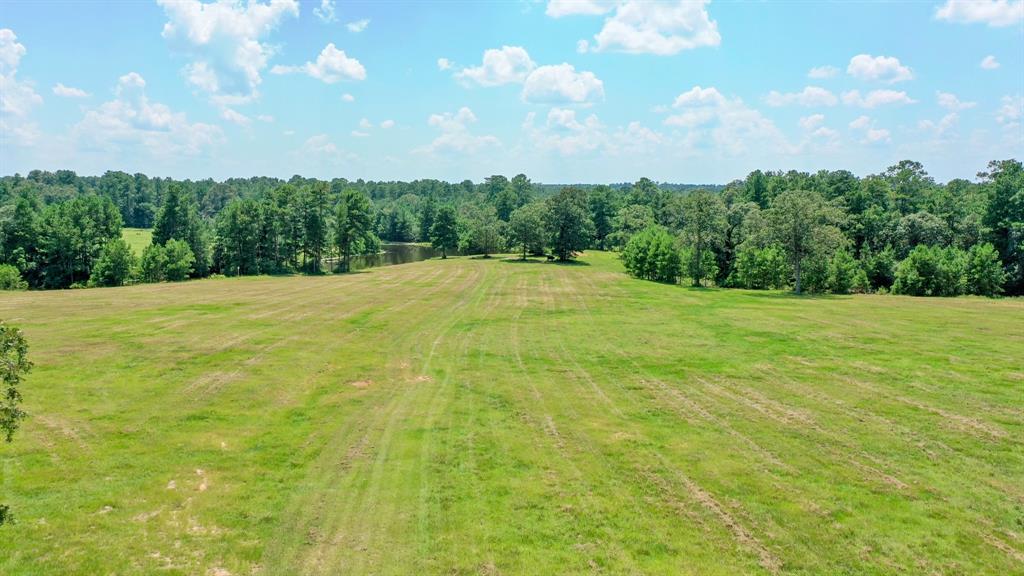 21.003 Acres Rockin L Lane, Navasota, Texas image 4
