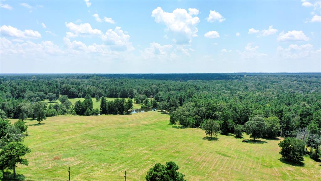 21.003 Acres Rockin L Lane, Navasota, Texas image 6