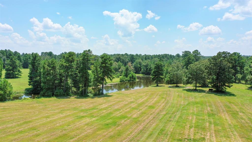 21.003 Acres Rockin L Lane, Navasota, Texas image 7